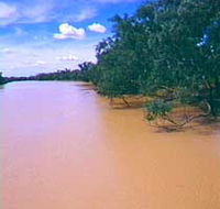 Warrego River - E Caravan Parks