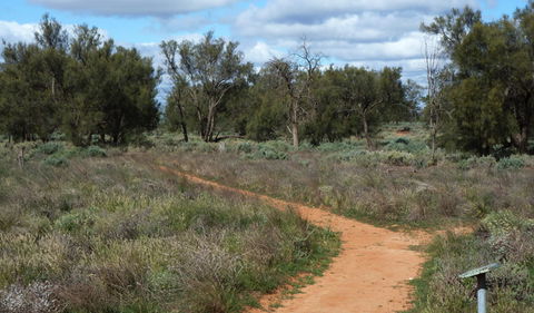 Grasslands Nature Trail - E Caravan Parks 0