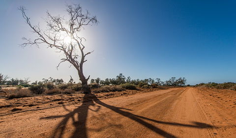 Vigars Well Picnic Area - E Caravan Parks 1