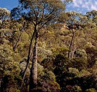 Ka Ka Mundi Carnarvon National Park - E Caravan Parks