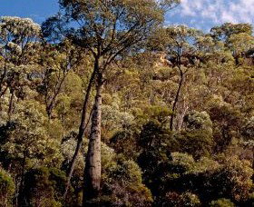 Ka Ka Mundi, Carnarvon National Park - E Caravan Parks 0