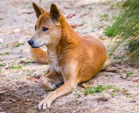 Territory Wildlife Park - E Caravan Parks 2