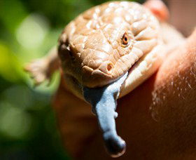 Territory Wildlife Park - E Caravan Parks 5