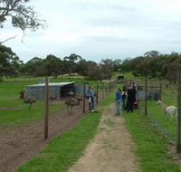Avenue Emus - E Caravan Parks