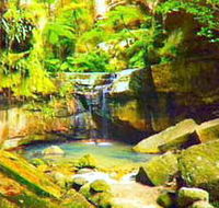 Carnarvon Gorge Carnarvon National Park - E Caravan Parks