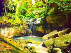 Carnarvon Gorge, Carnarvon National Park - E Caravan Parks 0