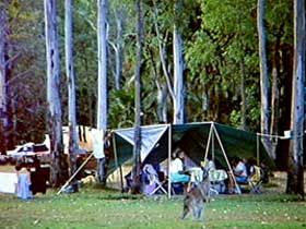 Carnarvon Gorge, Carnarvon National Park - E Caravan Parks 2