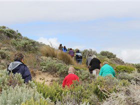The Seaview Walking Trail - E Caravan Parks 2