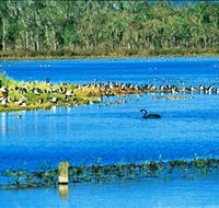 Hasties Swamp National Park - E Caravan Parks