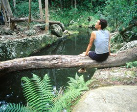 Barron Gorge National Park - E Caravan Parks 1