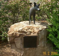 Dingo Statue - E Caravan Parks