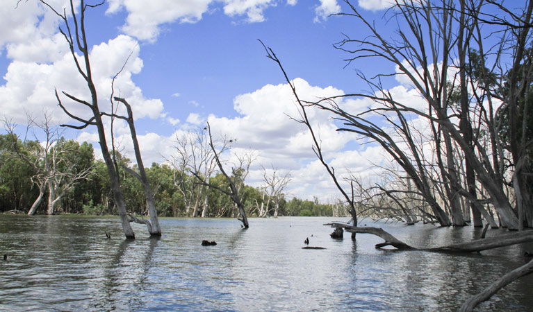Corobimilla NSW E Caravan Parks