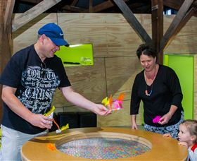 Twisted - Science At Play - E Caravan Parks 2