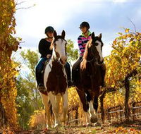 Billabong Ranch - E Caravan Parks