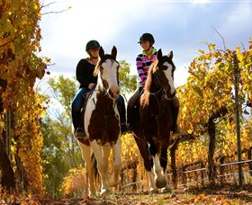 Billabong Ranch - E Caravan Parks 0