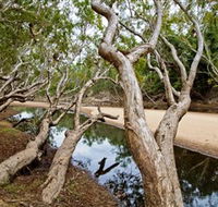 Oyala Thumotang National Park CYPAL - E Caravan Parks