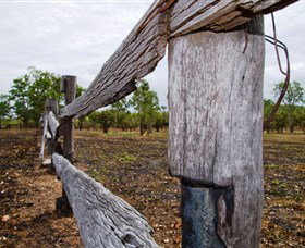 Oyala Thumotang National Park (CYPAL) - E Caravan Parks 1