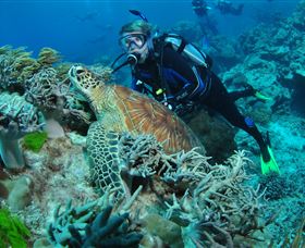 The Oasis Dive Site - E Caravan Parks 1