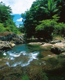 Cedar Creek Falls - E Caravan Parks 1