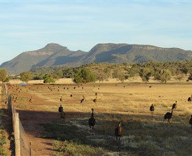 Emu Logic - E Caravan Parks 0