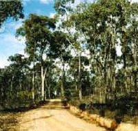 Paddys Ranges State Park - E Caravan Parks