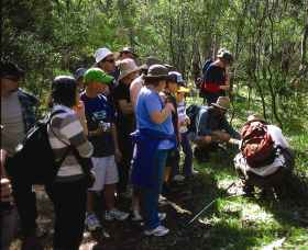 Warrumbungle National Park Discovery Program - E Caravan Parks 0