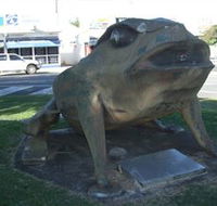 Big Cane Toad - E Caravan Parks