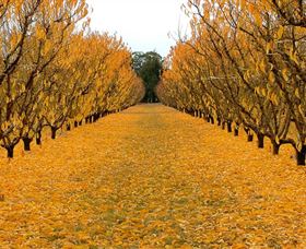 Sun Country On The Murray Farm Gate Trail - E Caravan Parks 0