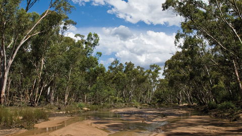 Pilliga National Park - E Caravan Parks 2
