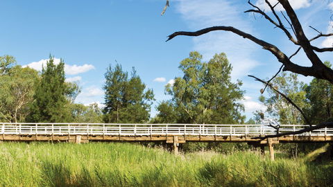 Pilliga National Park - E Caravan Parks 3