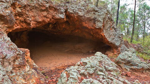 Pilliga National Park - E Caravan Parks 1