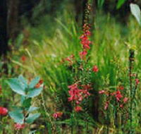 Enfield State Park - E Caravan Parks
