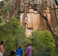 Sawn Rocks walking track - E Caravan Parks