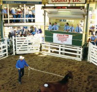 Gracemere Exhibition Complex - E Caravan Parks