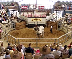 Gracemere Exhibition Complex - E Caravan Parks 1