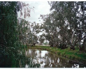 Henty NSW E Caravan Parks