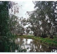 Henty Government Dam Nature Reserve - E Caravan Parks
