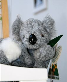 Timboon West VIC E Caravan Parks