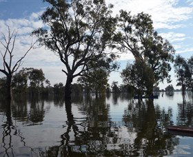 Doodle Cooma Swamp - E Caravan Parks 1