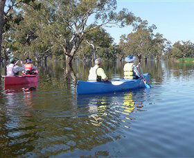 Doodle Cooma Swamp - E Caravan Parks 0