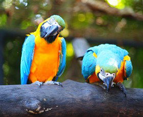 The Rockhampton Zoo - E Caravan Parks 2
