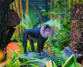 The Rockhampton Zoo - E Caravan Parks 3