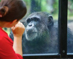 The Rockhampton Zoo - E Caravan Parks 0