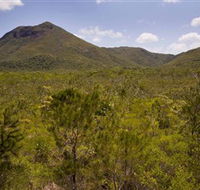 Kutini-Payamu Iron Range National Park CYPAL - E Caravan Parks