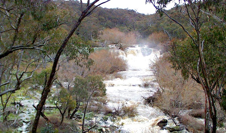 Ophir NSW E Caravan Parks