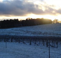 Charles Sturt University Winery - E Caravan Parks