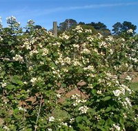 Huntley Berry Farm - E Caravan Parks