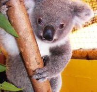 Cooberrie Park Wildlife Sanctuary - E Caravan Parks
