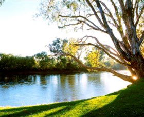 Albury - Murray River Precinct - E Caravan Parks 0