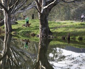 Albury - Murray River Precinct - E Caravan Parks 3